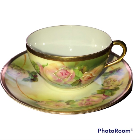 Royal Rudolstadt Prussian rose pattern gold trim tea cup and saucer Victorian - Picture 1 of 15